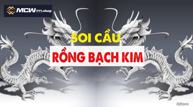 Soi Cầu Lô Đề Rồng Bạch Kim